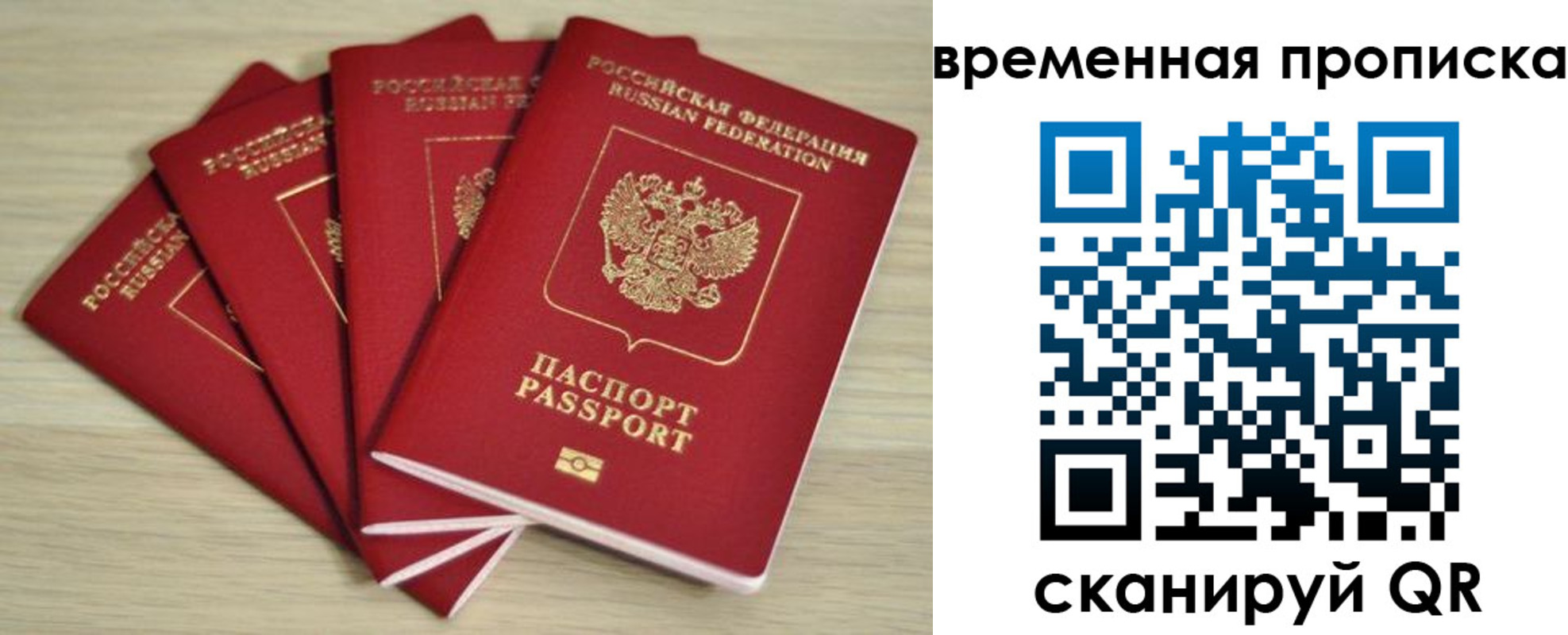 прописка для школы в Курганинске